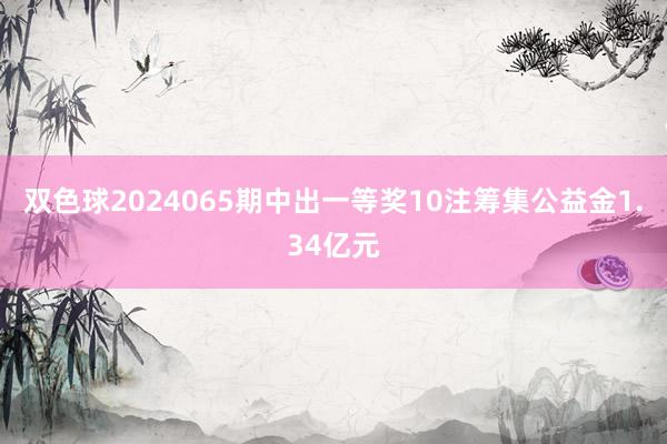 双色球2024065期中出一等奖10注筹集公益金1.34亿元