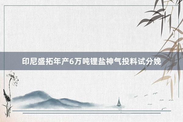 印尼盛拓年产6万吨锂盐神气投料试分娩