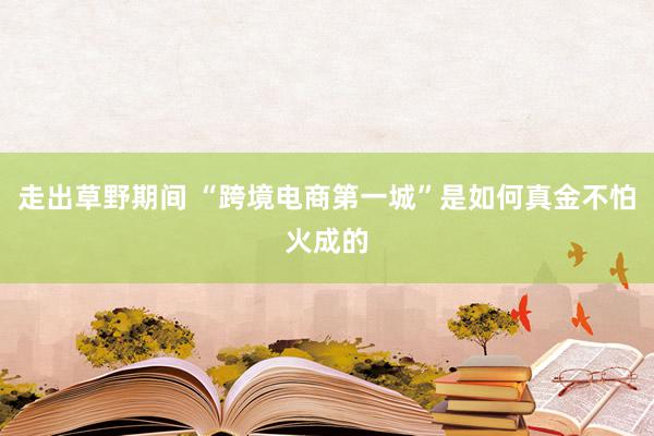 走出草野期间 “跨境电商第一城”是如何真金不怕火成的