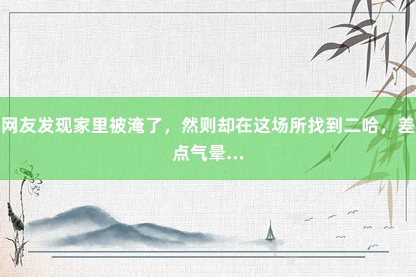 网友发现家里被淹了，然则却在这场所找到二哈，差点气晕...