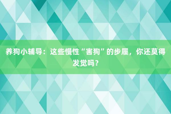 养狗小辅导：这些慢性“害狗”的步履，你还莫得发觉吗？