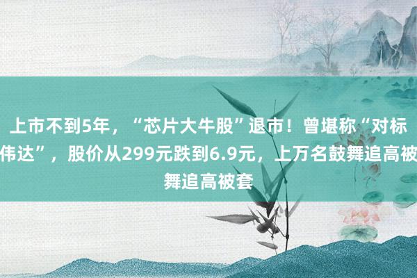 上市不到5年，“芯片大牛股”退市！曾堪称“对标英伟达”，股价从299元跌到6.9元，上万名鼓舞追高被套