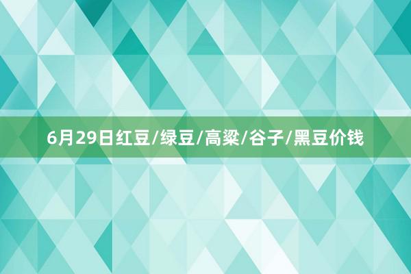 6月29日红豆/绿豆/高粱/谷子/黑豆价钱