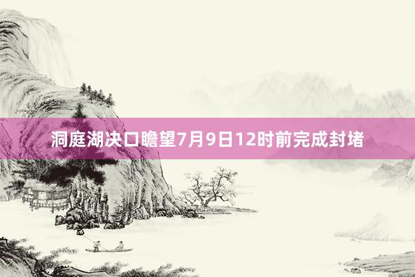 洞庭湖决口瞻望7月9日12时前完成封堵