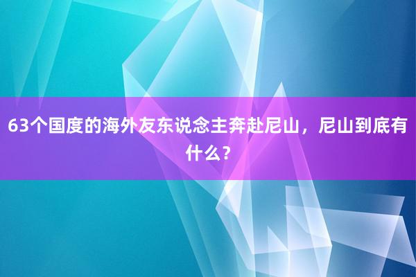 63个国度的海外友东说念主奔赴尼山，尼山到底有什么？