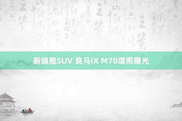 新旗舰SUV 良马iX M70谍照曝光