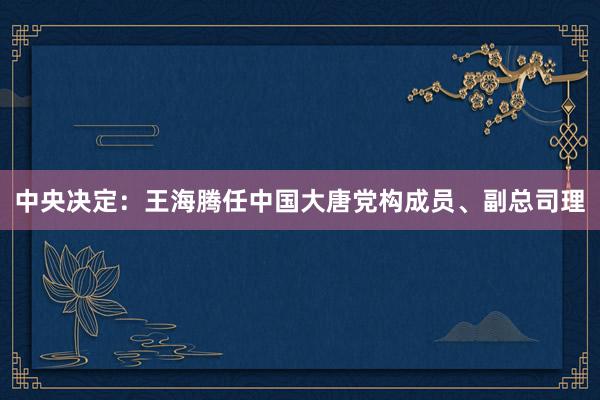 中央决定：王海腾任中国大唐党构成员、副总司理