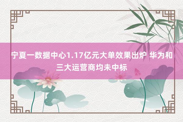 宁夏一数据中心1.17亿元大单效果出炉 华为和三大运营商均未中标