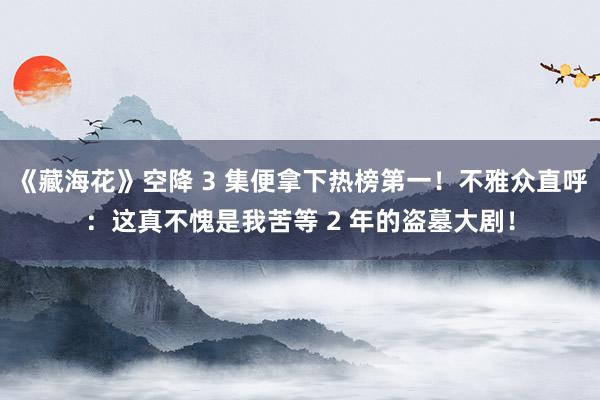 《藏海花》空降 3 集便拿下热榜第一！不雅众直呼：这真不愧是我苦等 2 年的盗墓大剧！