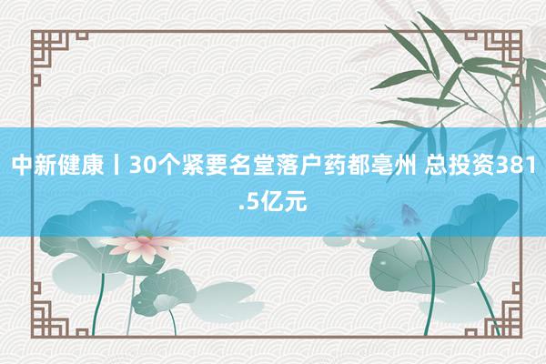 中新健康丨30个紧要名堂落户药都亳州 总投资381.5亿元