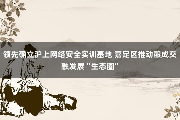 领先确立沪上网络安全实训基地 嘉定区推动酿成交融发展“生态圈”