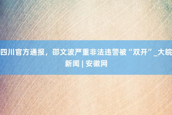 四川官方通报，邵文波严重非法违警被“双开”_大皖新闻 | 安徽网