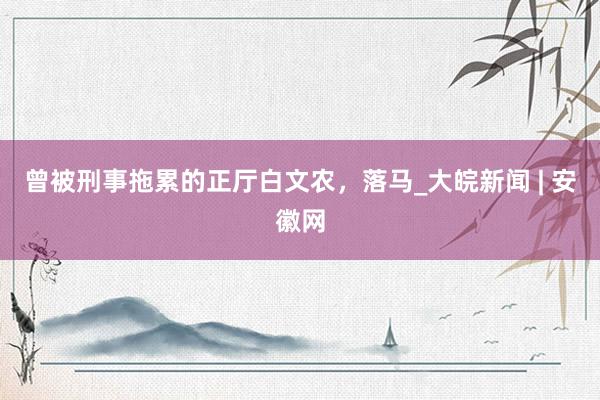 曾被刑事拖累的正厅白文农，落马_大皖新闻 | 安徽网