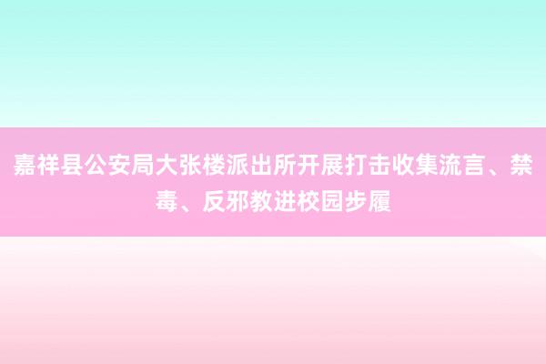 嘉祥县公安局大张楼派出所开展打击收集流言、禁毒、反邪教进校园步履