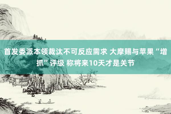 首发委派本领裁汰不可反应需求 大摩赐与苹果“增抓”评级 称将来10天才是关节