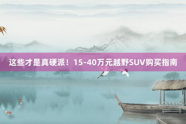 这些才是真硬派！15-40万元越野SUV购买指南