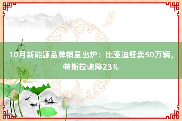 10月新能源品牌销量出炉：比亚迪狂卖50万辆，特斯拉骤降23%