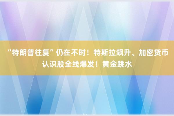 “特朗普往复”仍在不时！特斯拉飙升、加密货币认识股全线爆发！黄金跳水